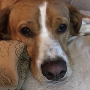 Meet your Posher, Marcy